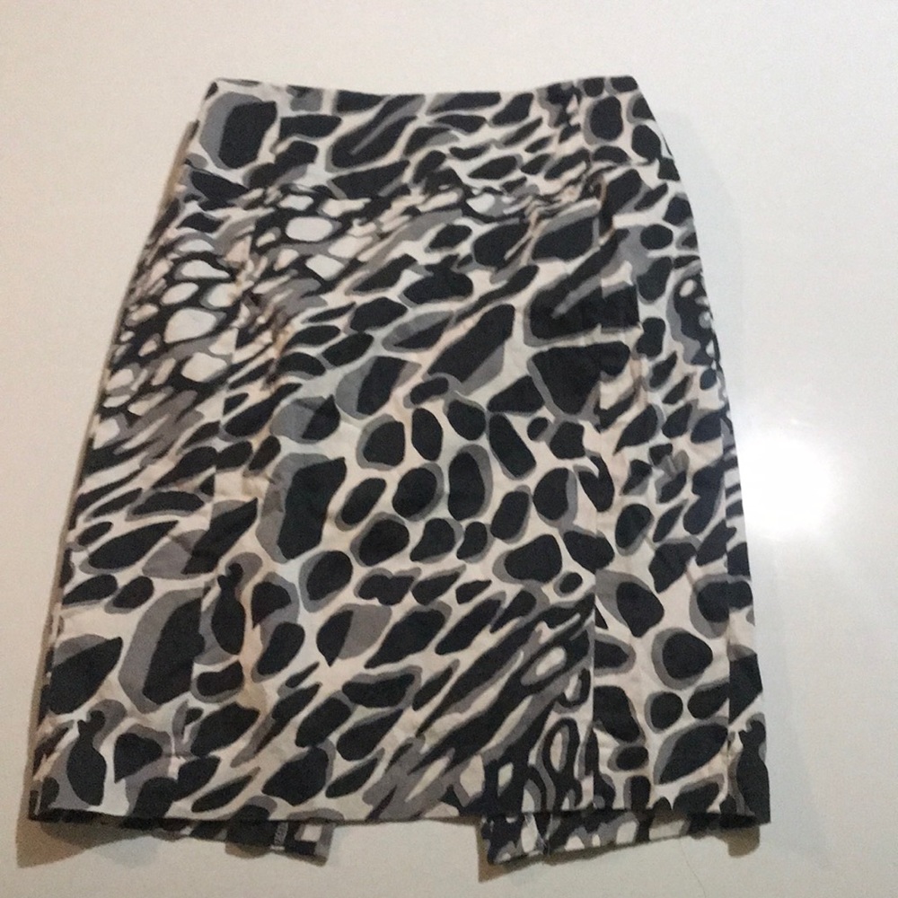 Express Skirt